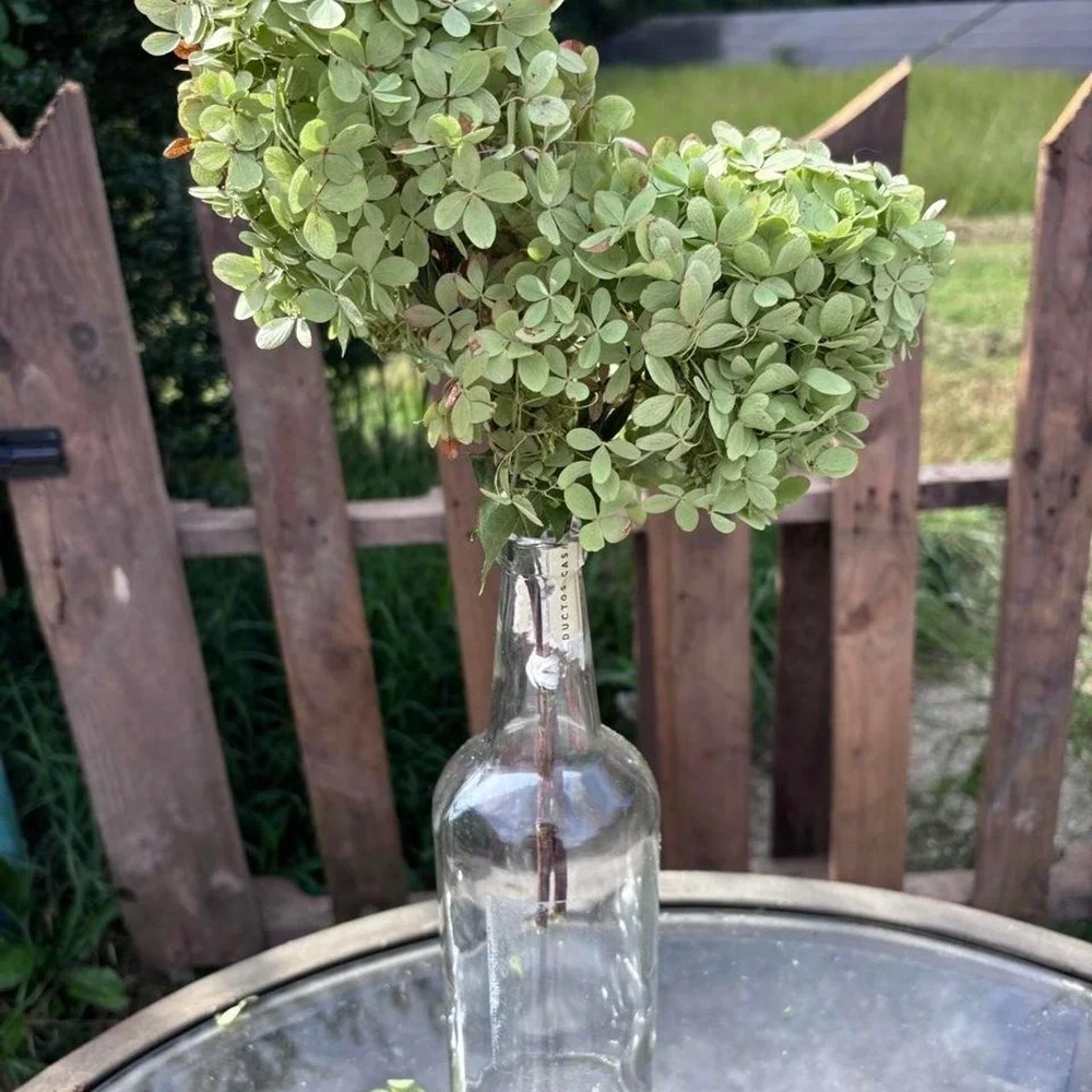 Real Preserved Hydrangea Stems 2 Count Sage Green Dusty Rose Pink Home Decor